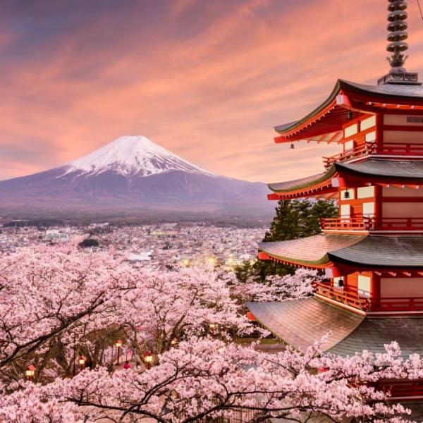 6D Japan Tokyo Osaka Saver Experience ( Starting from Rp 18.040.500 )